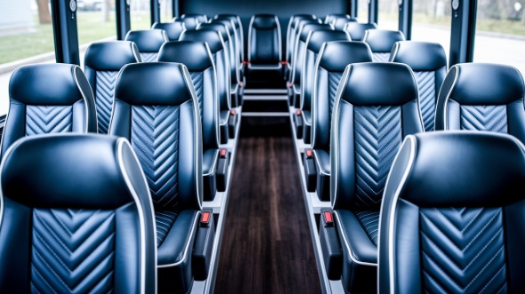 kenosha 28 passenger minibus rental