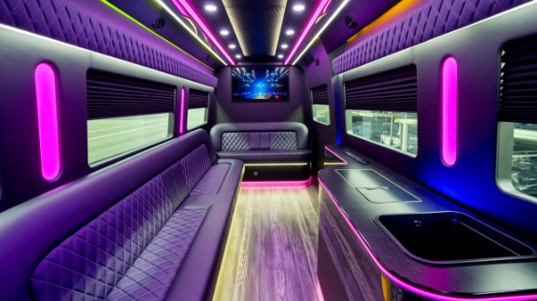 kenosha sprinter limo rental rental